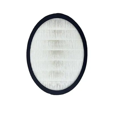 Il filtro Hepa H13 può rimuovere i virus?